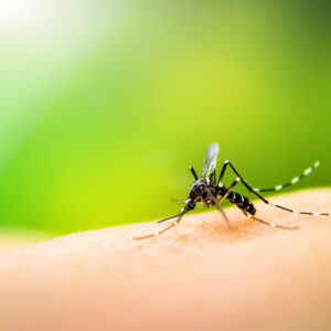 Ações de combate à dengue serão intensificadas em Foz do Iguaçu