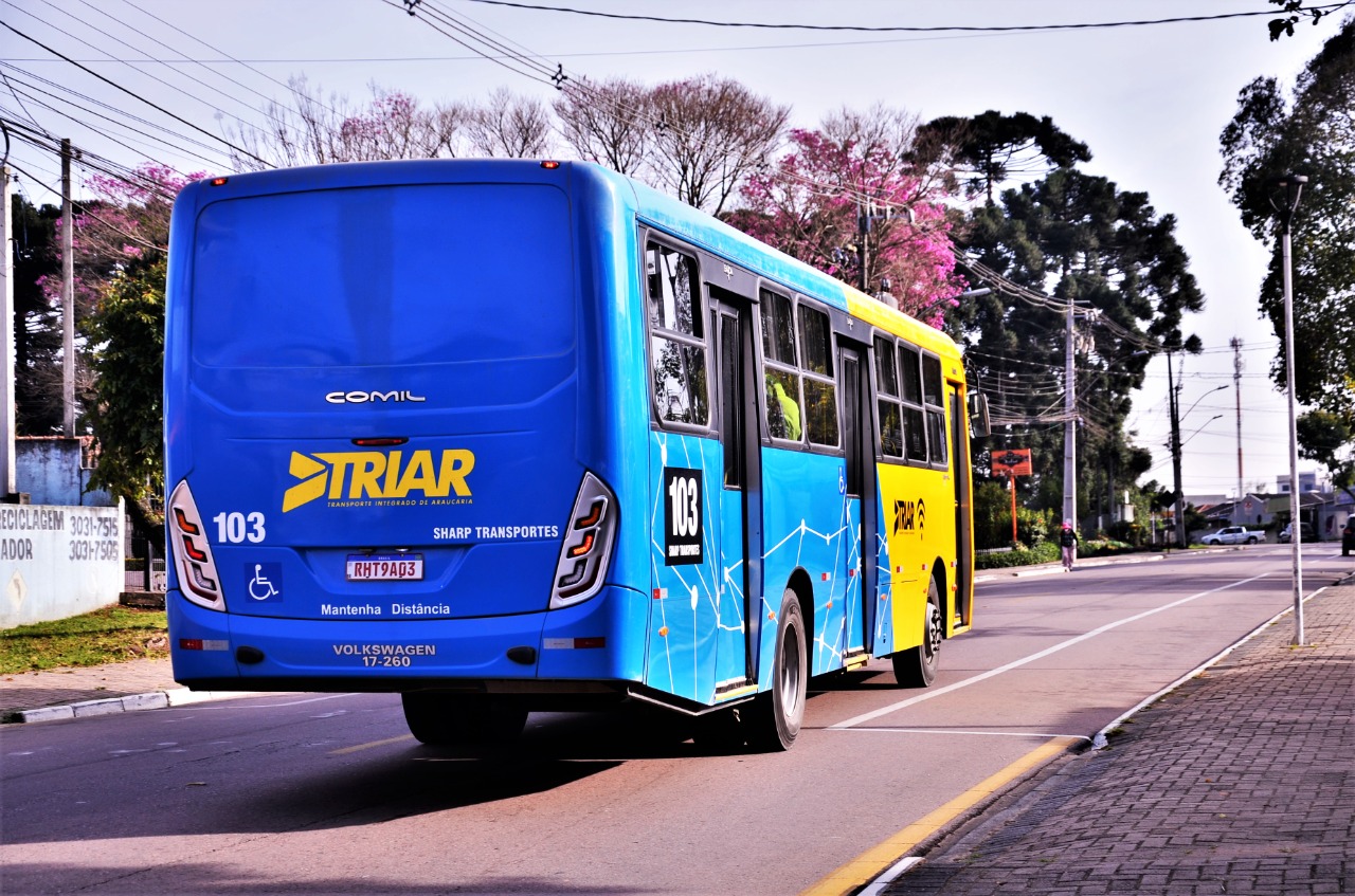 Transporte Universitário em Araucária - Simor Transportes