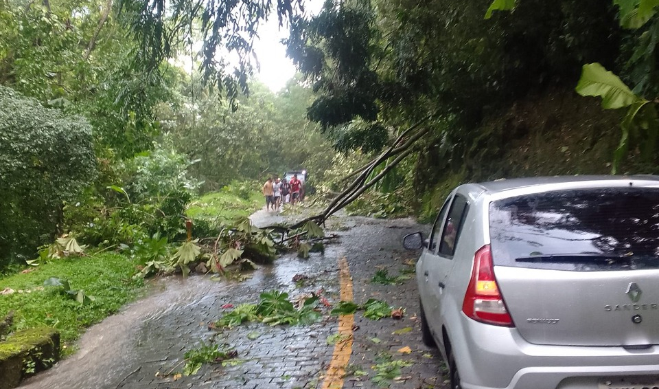 Cratera se abre na BR-277, em Curitiba, e interdita parte da pista