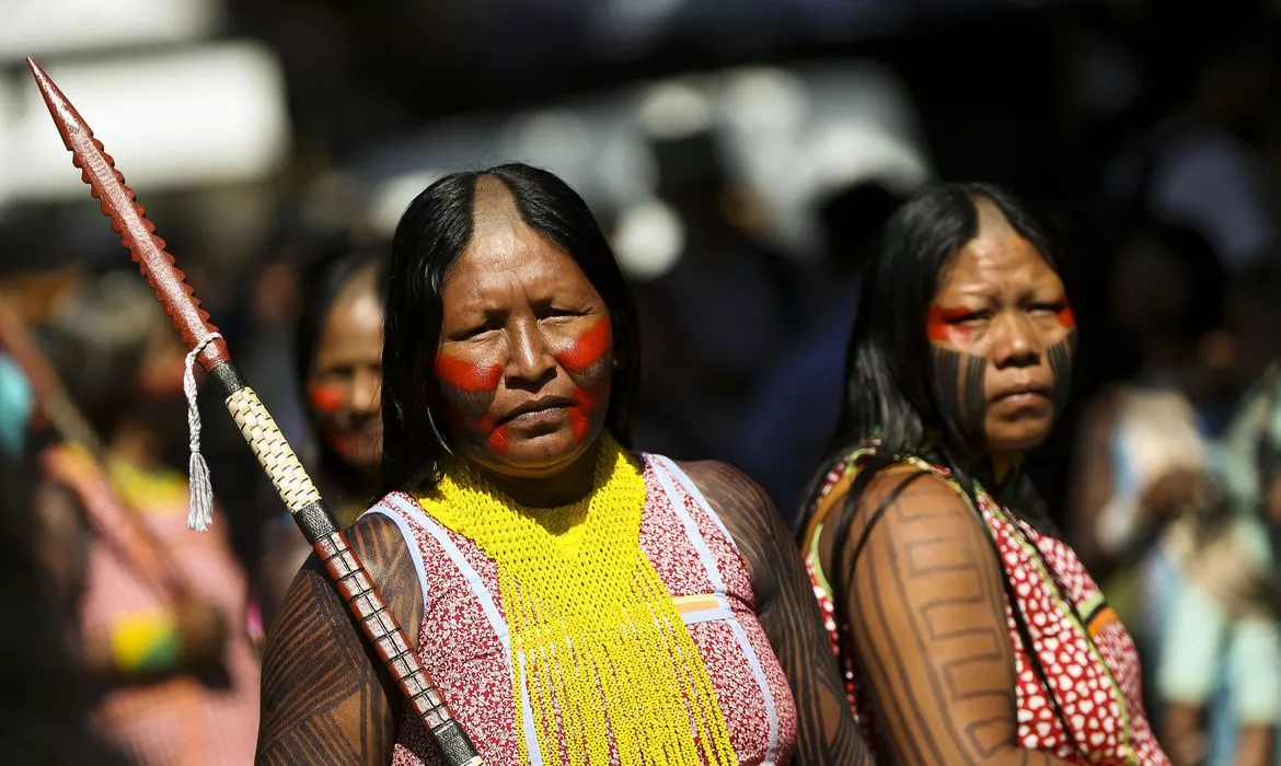 dia povos indigenas