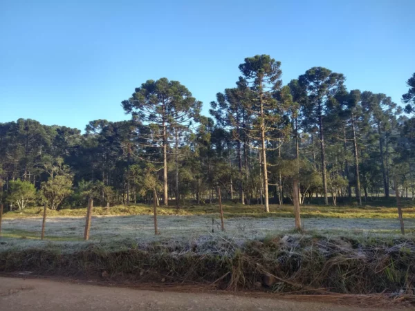 MADRUGADA-MAIS-FRIA-CIDADES