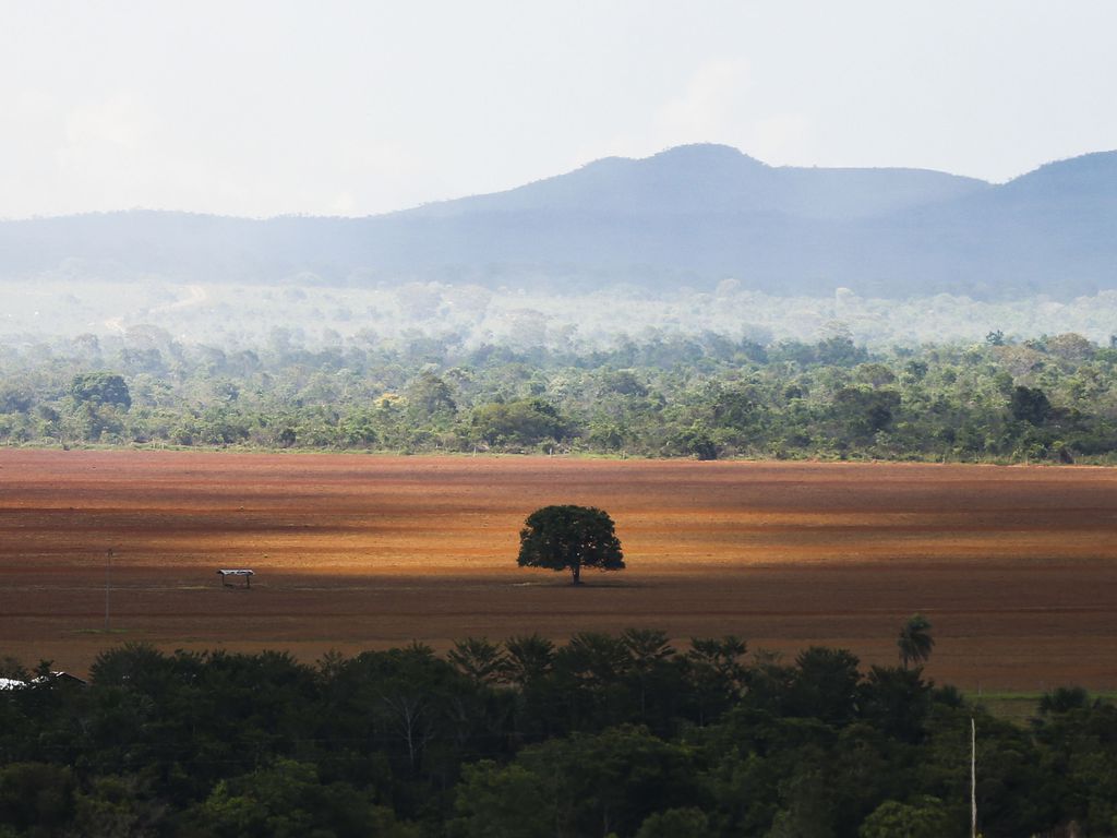 desmatamento-brasil-2022