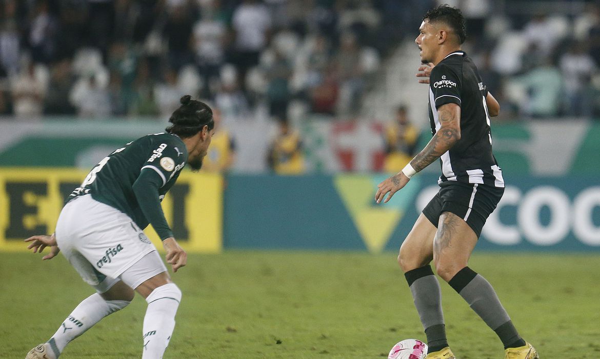 palmeiras-botafogo