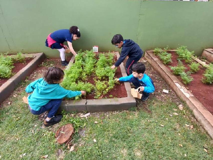 alimentacao-saudavel-escola