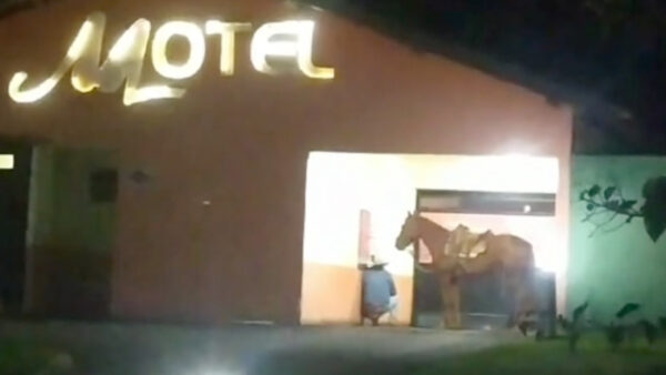 motel-cavalo