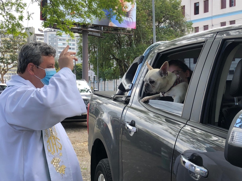 bencao-animais-curitiba