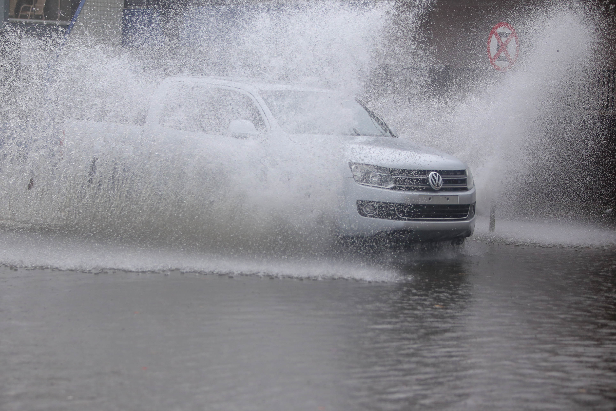 tempestade-em-curitiba-arvores