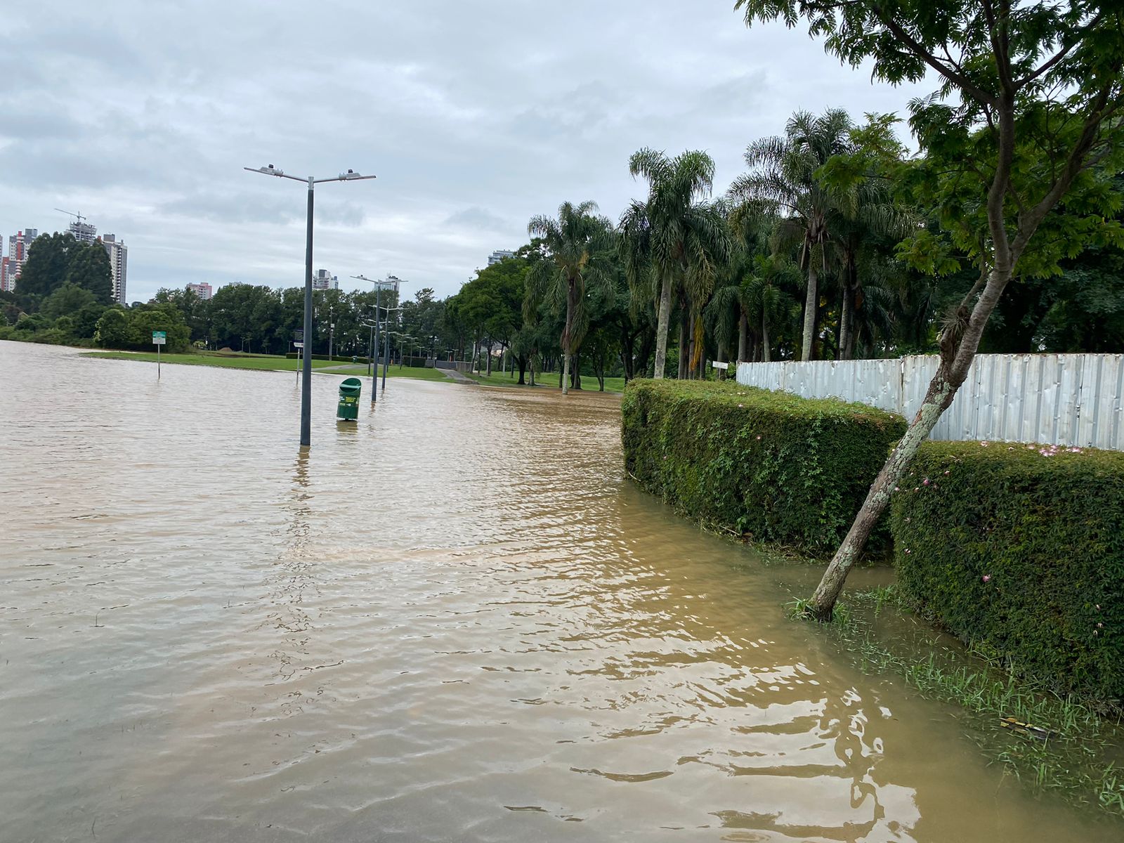 Parque Barigui Volta A Ficar Embaixo Dágua Com Excesso De Chuva Massa News 