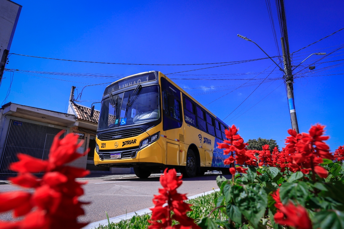 tarifa-onibus-araucaria