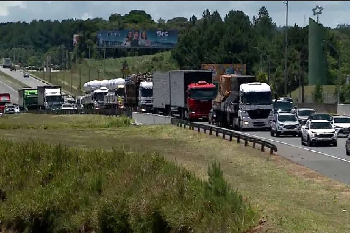 transito-rodovias-parana-02-01