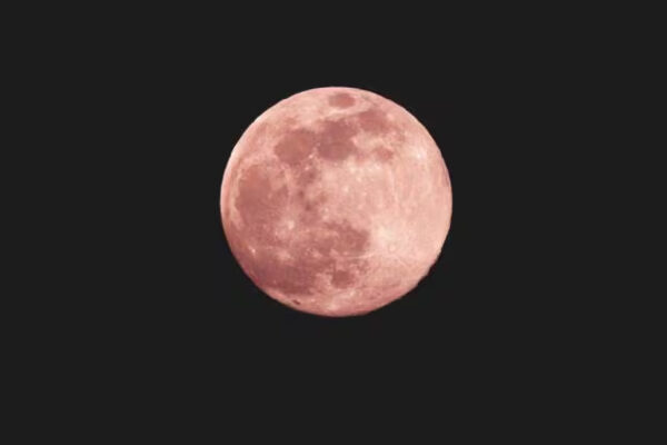 lua-cheia-rosa-abril-2024