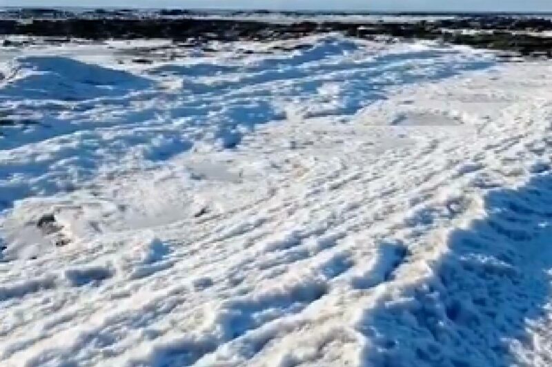 argentina-mar-congelado