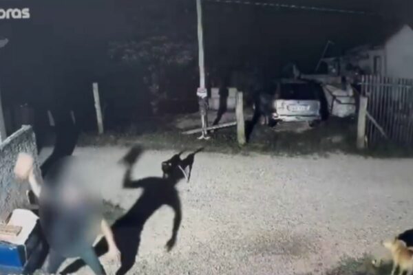 video-homem-maltratando-cachorros-com-tijolos