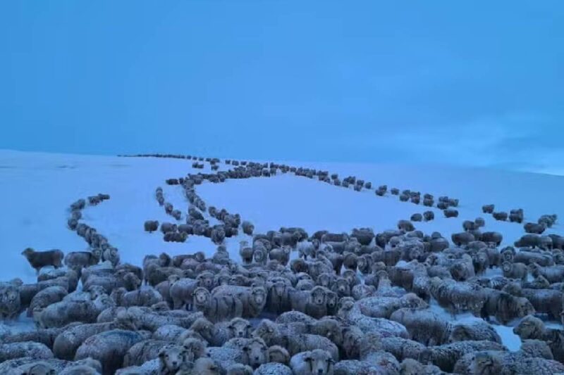 frio-extremo-na-patagonia