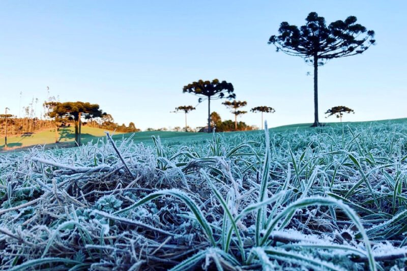 frente-fria-parana-geada