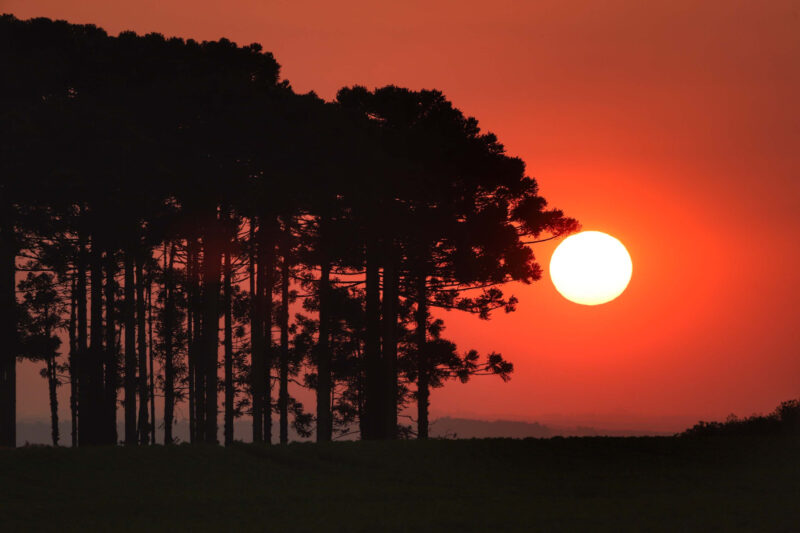 onda-calor-parana-tempo