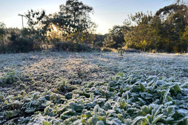 previsao-do-tempo-parana-curitiba-frio-quarta-feira-14-08-2024