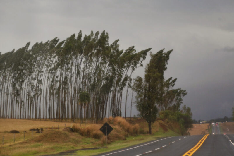 alerta-de-vendaval-parana