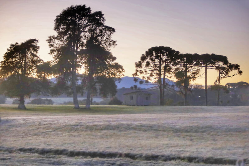 frio-em-curitiba-setembro