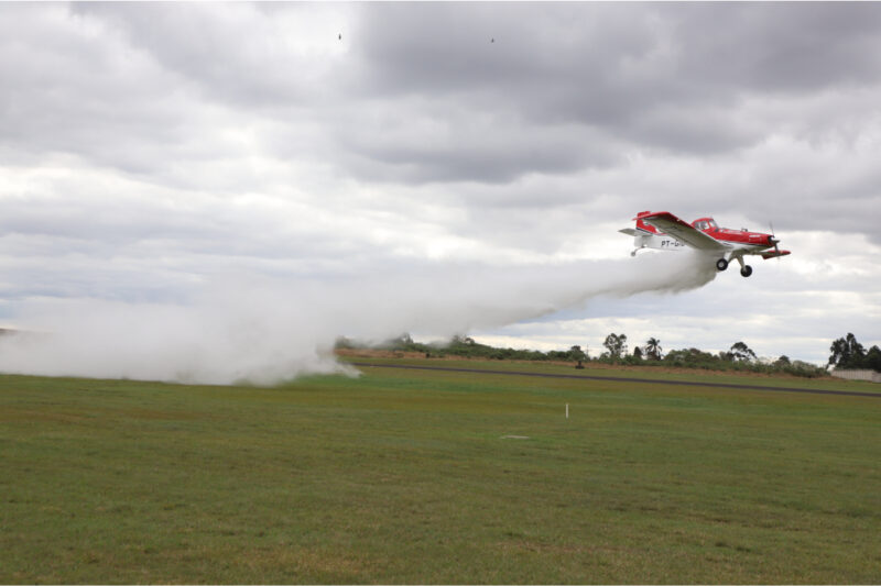 incendios-florestais-parana