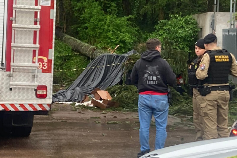 morre-esmagado-pinheiro-chuva-sao-jose-dos-pinhais