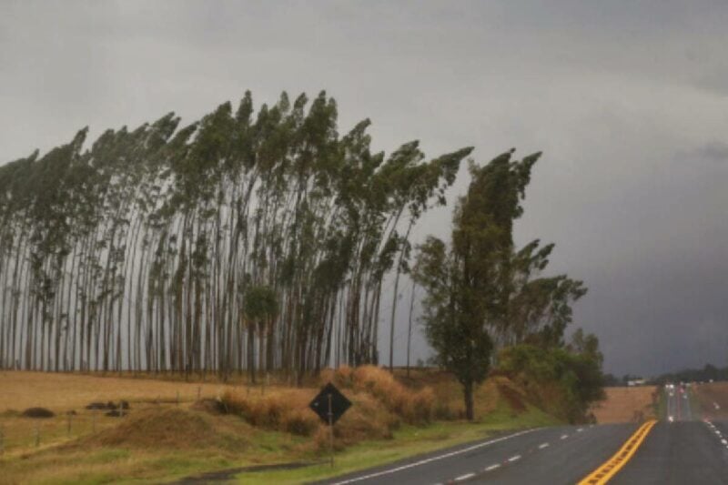 alerta-laranja-tempestade-parana-ventos-intensos